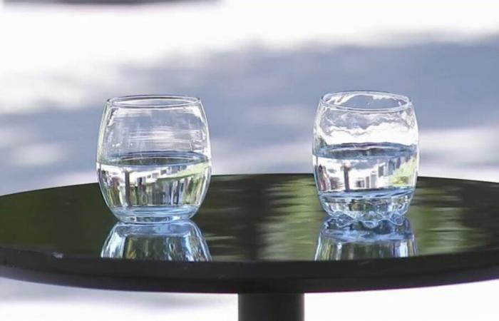 Los argumentos contra el proyecto que busca entregar agua gratis en los restaurantes.