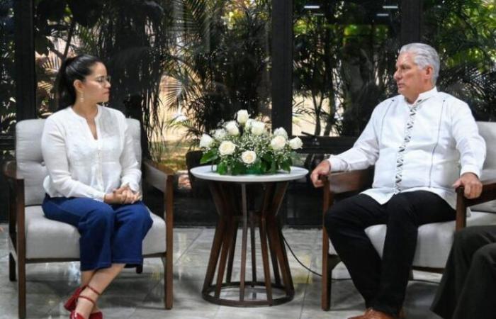 Diálogo Presidente cubano con el Secretario General de Morena • Trabajadores -.
