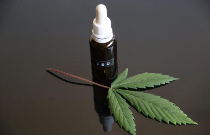 CBD, aliado natural para el pozo físico y emocional de las madres trabajadoras -.