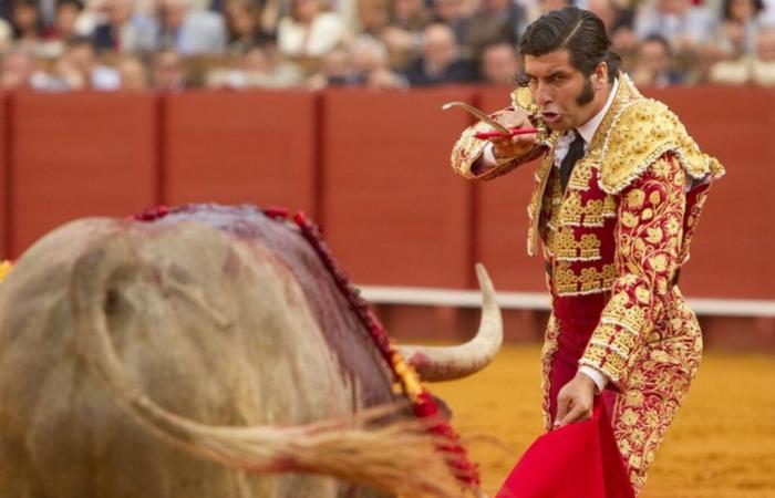 El debate | ¿Es posible mantener toros sin matar al animal?