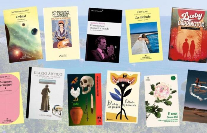 Libros para visitar Long Island, Space o Past -.