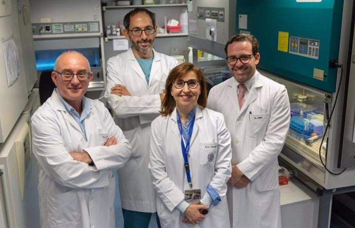 Ensayos clínicos con caminos terapéuticos abiertos CAR-T para el enfoque y la curación del lupus-.