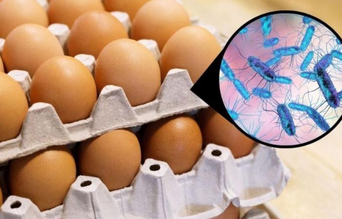 Emiten alerta de salud después de encontrar 6 marcas de huevos contaminadas.