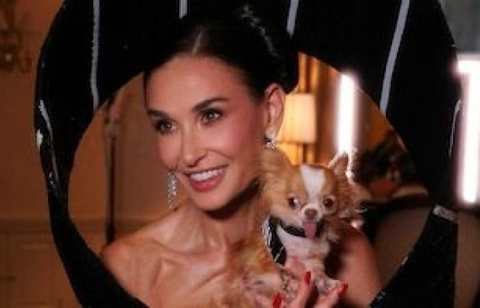 Pilaf, la miniatura Chihuahua de Demi Moore que sorprendió con el atuendo exclusivo en la Gala Met -.