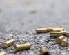 They murder a morenista candidate for mayor in Veracruz; Luisa María Mayor laments death – .