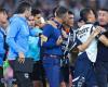 Efraín Juárez unleashed trifulca on benches with Martín Demichelis – .