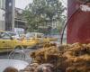 Medellín es la ciudad con el mayor precio de pollo asado en el país.