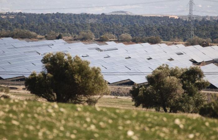 La moratoria de las nuevas renovables en La Rioja pone al sector en pie de guerra