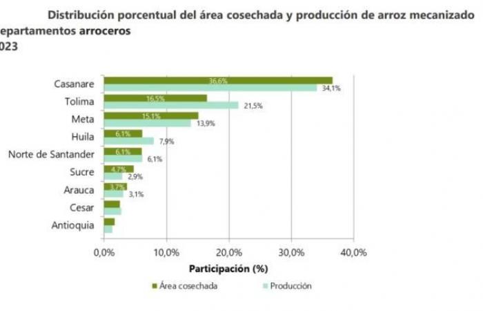 Huila es el cuarto productor de arroz de Colombia • La Nación