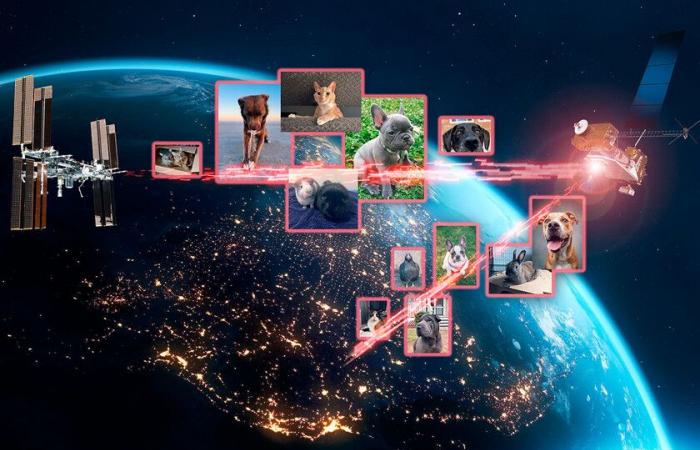 La NASA tiene un nuevo “juguete” con láseres para enviar fotos y videos de perros, gatos y hasta gallinas al espacio