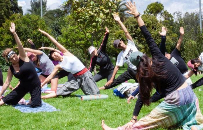 Bogotá te da la bienvenida a la segunda edición del Festival Calma, un evento para conectar con el bienestar de la ciudad.