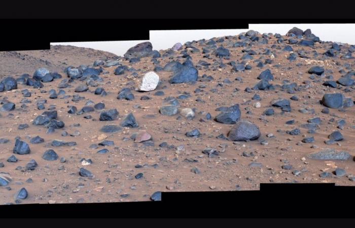 Perseverance toma un atajo a través de un río en Marte para encontrar una roca única