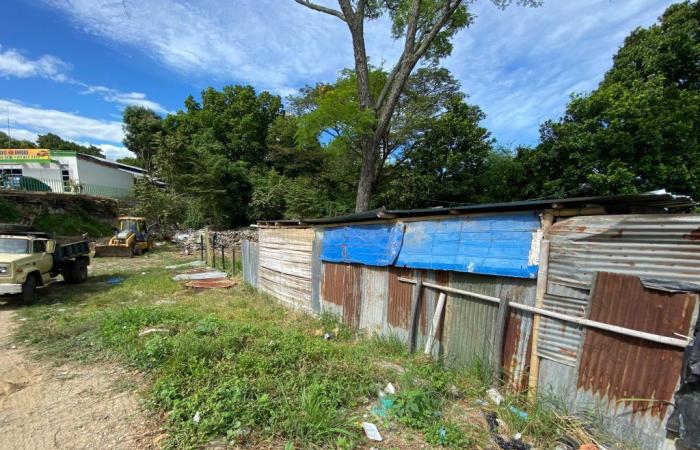 Desalojo y demolición de propiedades ilegales en el sur de Neiva