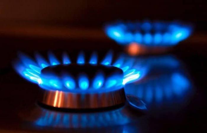 La Cámara de Apelaciones confirmó que Camuzzi no podrá cortar el gas