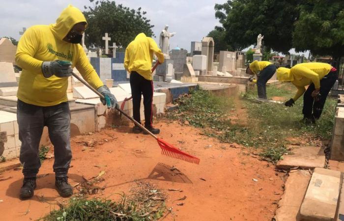 Limpian los cementerios Corazón de Jesús y San José en vísperas del Día del Padre