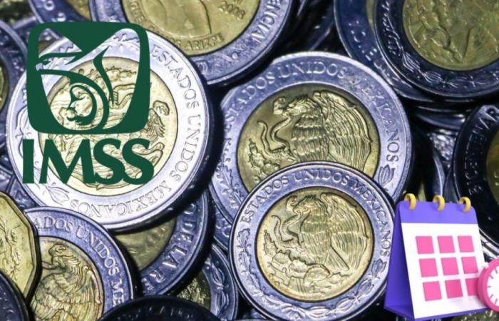 Anuncian a los pensionados las FECHAS del calendario de pago de pensiones del IMSS 2024 para el segundo semestre del año – .