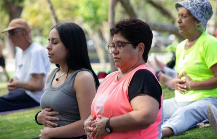 Te invitan a encuentro de yoga en el Día de Frank Romero