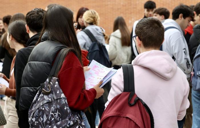 Educación otorga 1,3 millones en 921 becas a universitarios fuera de La Rioja