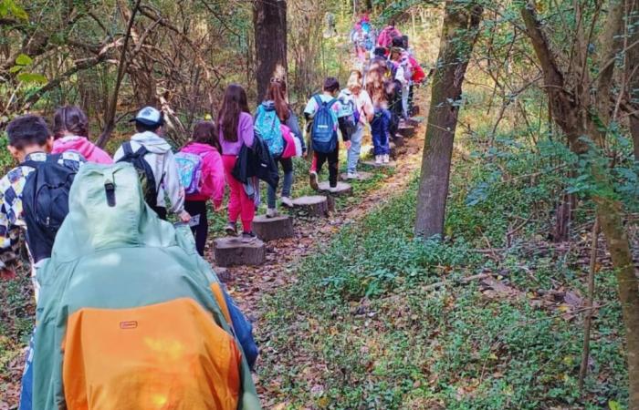 Más de 20 colegios visitaron el Parque Escolar Rural Enrique Berduc para disfrutar de la naturaleza – Consejo General de Educación – .
