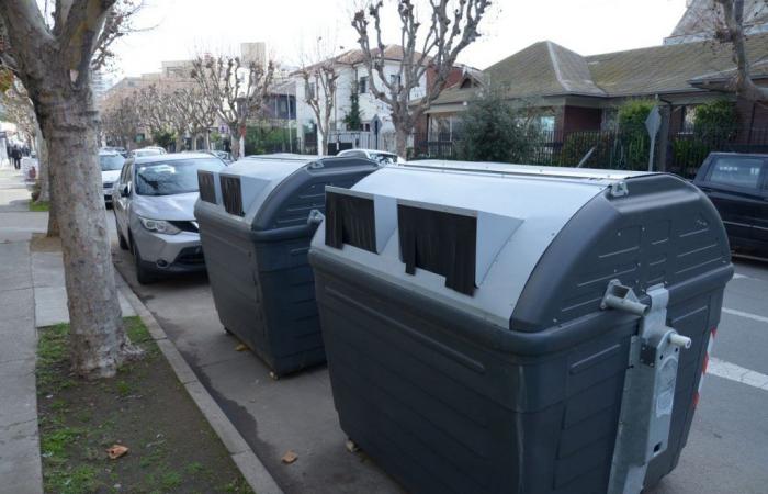 Municipio viñamarino implementa plan piloto de nuevos contenedores para limpieza del hogar – G5noticias – .