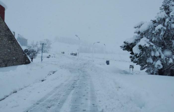 El paso a Chile permanecerá cerrado este sábado 15 de junio por fuertes nevadas