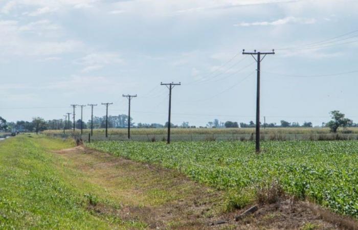 El Fondo de Electrificación Rural con largos años por delante en Santa Fe