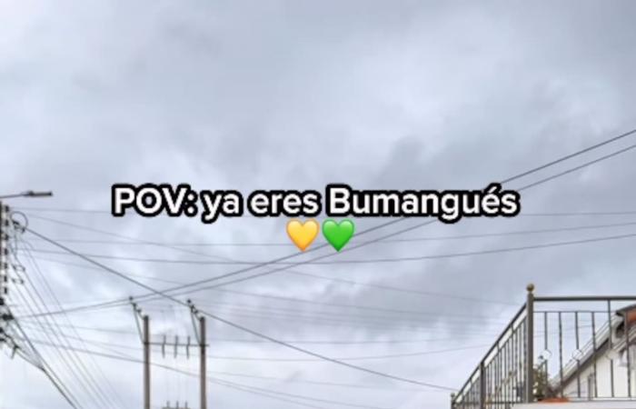 Gregorio Pernía se sumó a la fiebre auriverde con un video que revoluciona las redes
