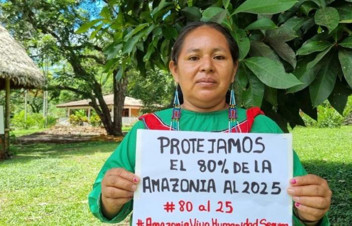 El 71% de la Amazonía está desprotegida por los principales bancos que financian la extracción de petróleo y gas en la región
