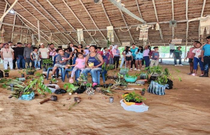 Una iniciativa ambiental y cultural en la Amazonía colombiana – .