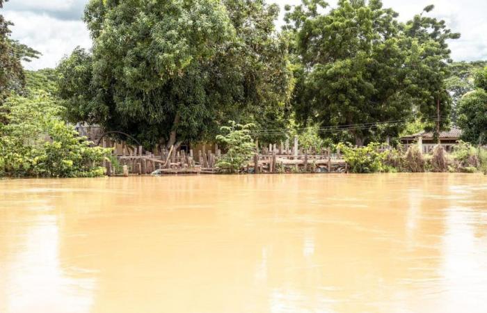 Monitorean seis puntos críticos del río Sinú en el municipio de Lorica, Córdoba – .