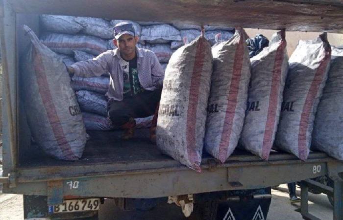 Inicia venta de sacos de carbón vegetal en barrios de Ciego de Ávila