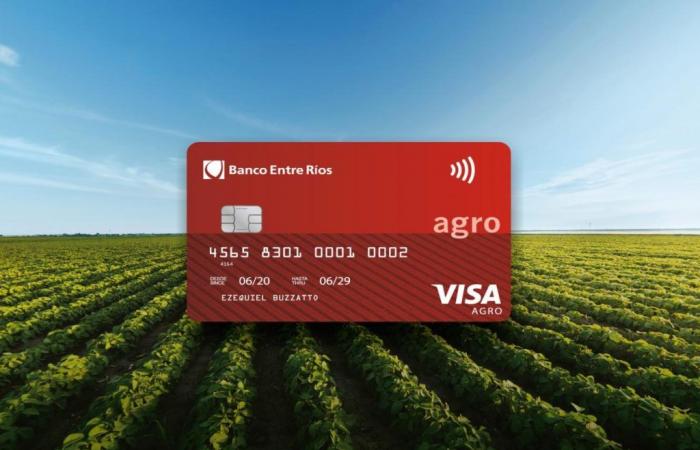 Banco Entre Ríos y Agrofy se unen para ofrecer beneficios exclusivos a productores – .