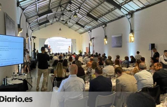 Un viaje por siete décadas de vino y música en las bodegas centenarias de Rioja – .