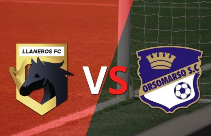Llaneros FC vs Orsomarso Final – .