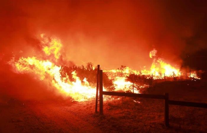 Un incendio forestal arrasa miles de hectáreas al norte de Los Ángeles y provoca la evacuación de 1.200 personas