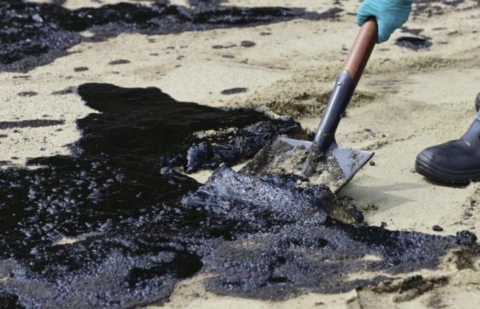 Singapur limpia el derrame de petróleo causado por el impacto de una draga contra un petrolero –.
