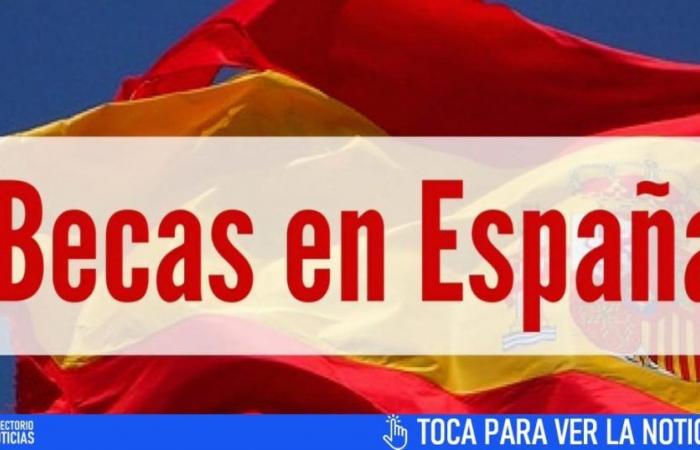 Embajada de España en Cuba lanza esta ayuda para becas para descendientes