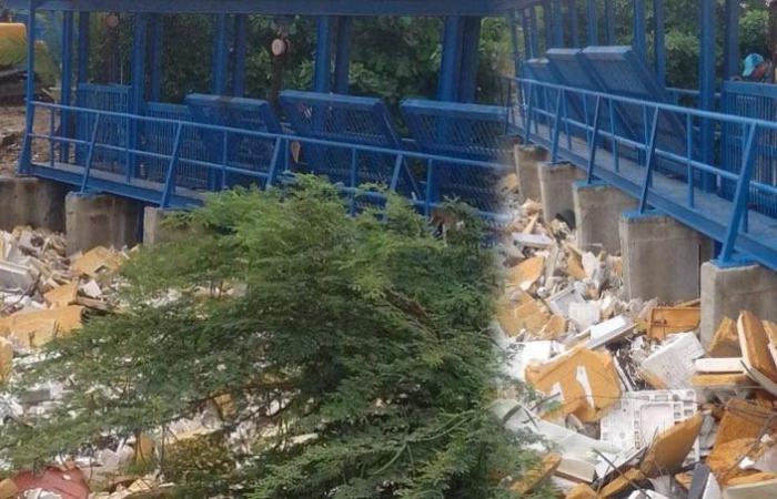 Comunidad solicita atención urgente trampa de Arroyo León por represamiento de basura