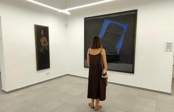Exposiciones en Aragón | El Centro de Arte Contemporáneo Aínsa-Sobrarbe mira a la transición – .