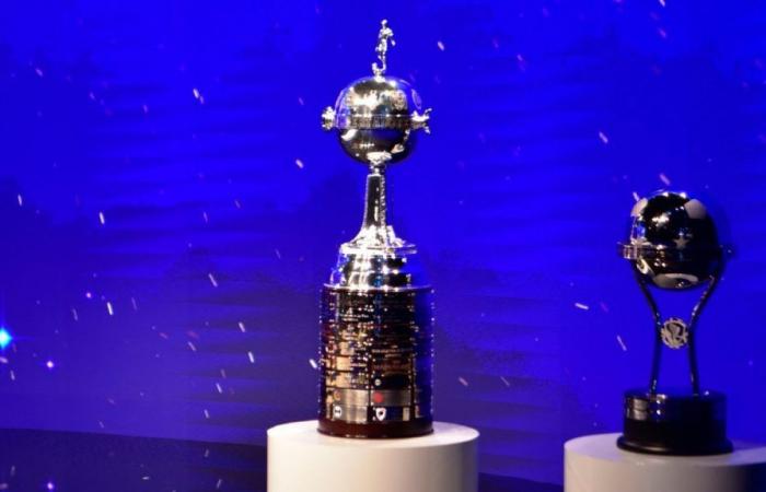 ¿Cómo se definen los 8 cupos del FPC para Libertadores y Sudamericana 2025? – .