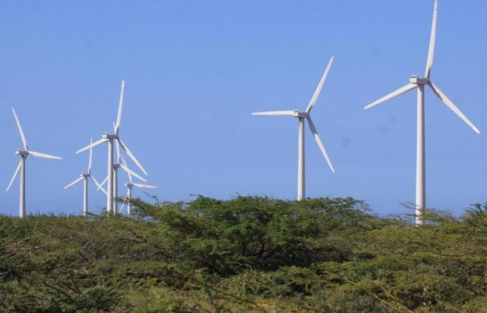 Con licencia ambiental de Colectora se podrán conectar a la red nacional más de 1.000 MW de energía eólica