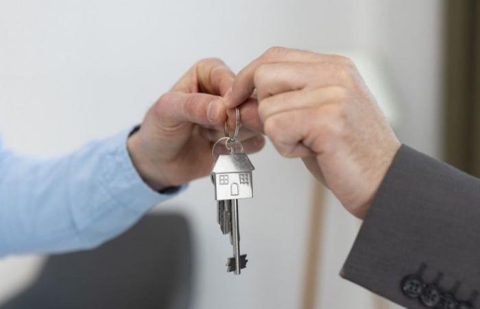 ¿Préstamos hipotecarios o alquileres? ¿En qué casos es adecuado cada uno? – .