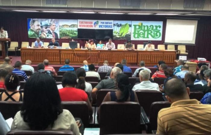 La producción de alimentos, centro de atención en el Pleno del Partido en Pinar del Río