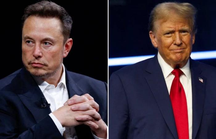 Elon Musk reveló detalles de su relación con Donald Trump – .