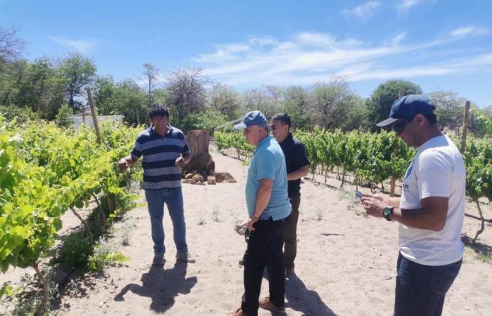 Estudiantes de la UCN asesoran a productores de vinos premium en la localidad de Toconao