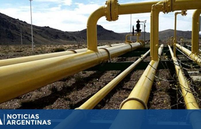 Enarsa acordó con Bolivia continuar con el suministro de gas para abastecer la demanda en el norte del país