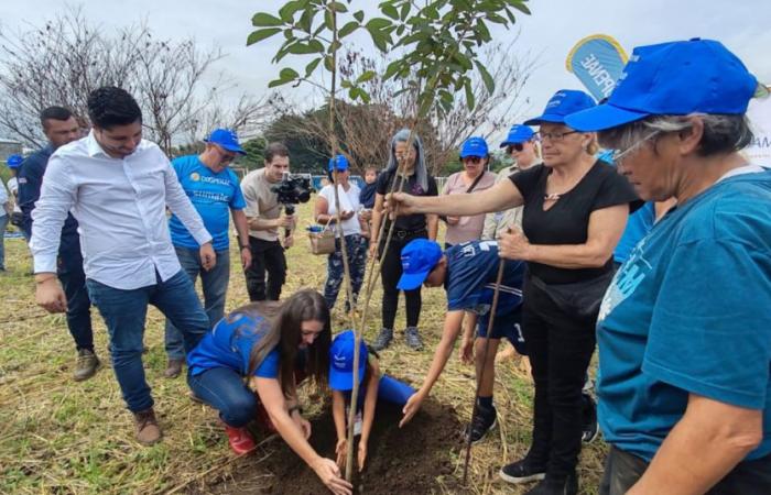 Plantar 2.000 árboles le dará nuevo pulmón a San José – .
