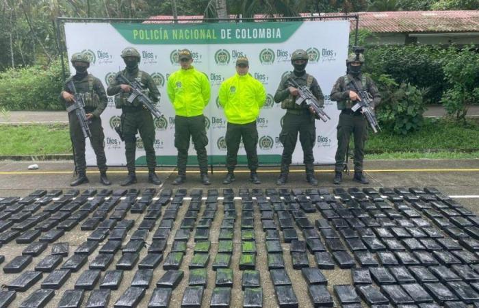 Policía colombiana incautó 500 kilos de cocaína pura a ‘narcotraficante invisible’, socio del ‘clan del Golfo’