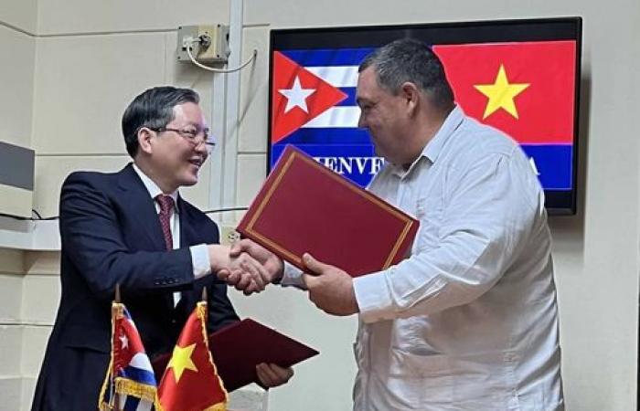 Vietnam y Cuba fortalecen cooperación agrícola – .