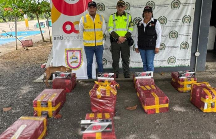 Autoridades de Córdoba vuelven a atacar el contrabando de cigarrillos